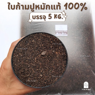 ใบก้ามปูหมักล้วน 100% ร่อนละเอียด บรรจุ5kg ไม่ผสมดิน-ปุ๋ย ไว้ผสมดินปลูกต้นไม้ ไม้ใบ ไม้ประดับ บอนสี แคคตัส