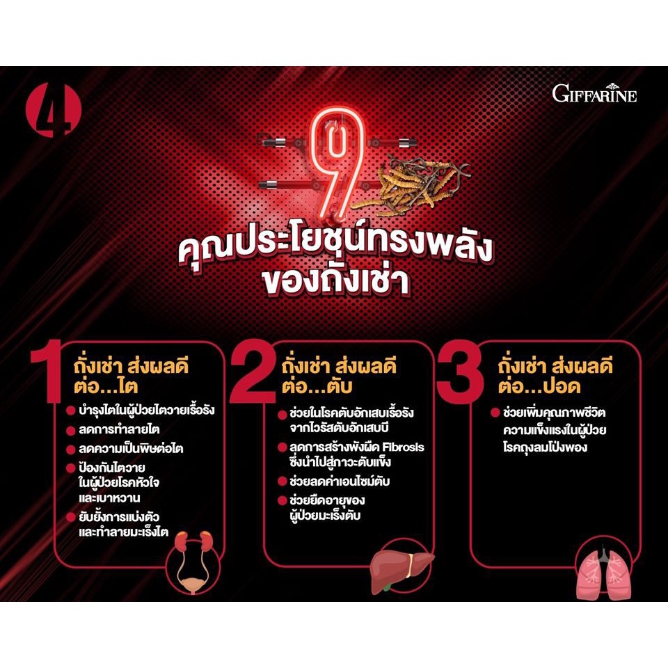 ส่งฟรี-ถั่งเช่า-อาหารเสริม-สนุมไพรถั่งเช่า-chong-cao-บำรุงร่างกาย-เพิ่มสมรรถภาพทางเพศ-บำรุงไต