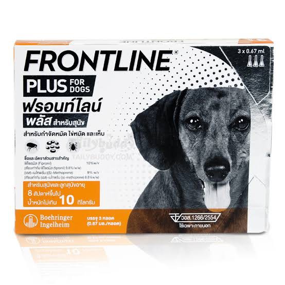 front-line-หนักไม่เกิน-10-kg