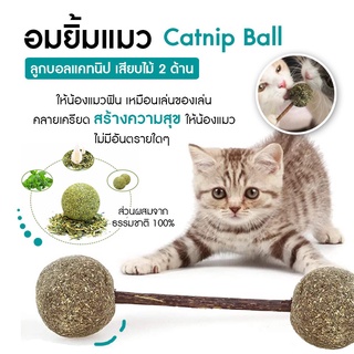 【ถูกที่สุด พร้อมส่ง 】🐾😺 แคทนิป ลูกบอลแคทนิป เสียบไม้ 2 ด้าน อมยิ้ม ขนมแมว ของเล่นแมว ลูกอมแมว สมุนไพรแมวเลีย แมว cat