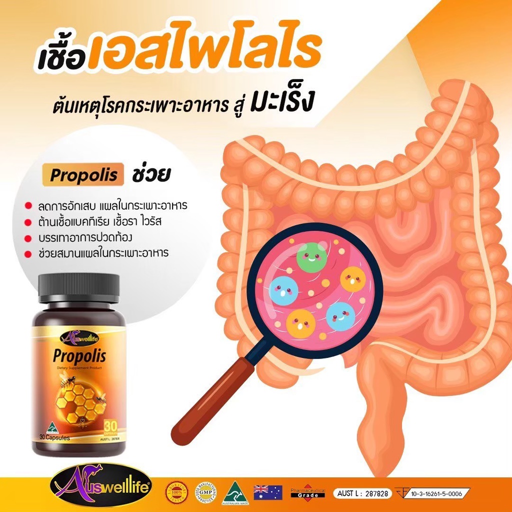 ดูแลสุขภาพให้แข็งแรงและปลอดภัยด้วย-auswelllife-propolis