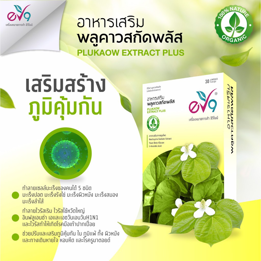 ภาพสินค้าส่งฟรี พลูคาวสกัด ต้านมะเร็ง เพิ่ม Cd4 เสริมภูมิคุ้มกัน จากร้าน pipim.addplus บน Shopee ภาพที่ 4