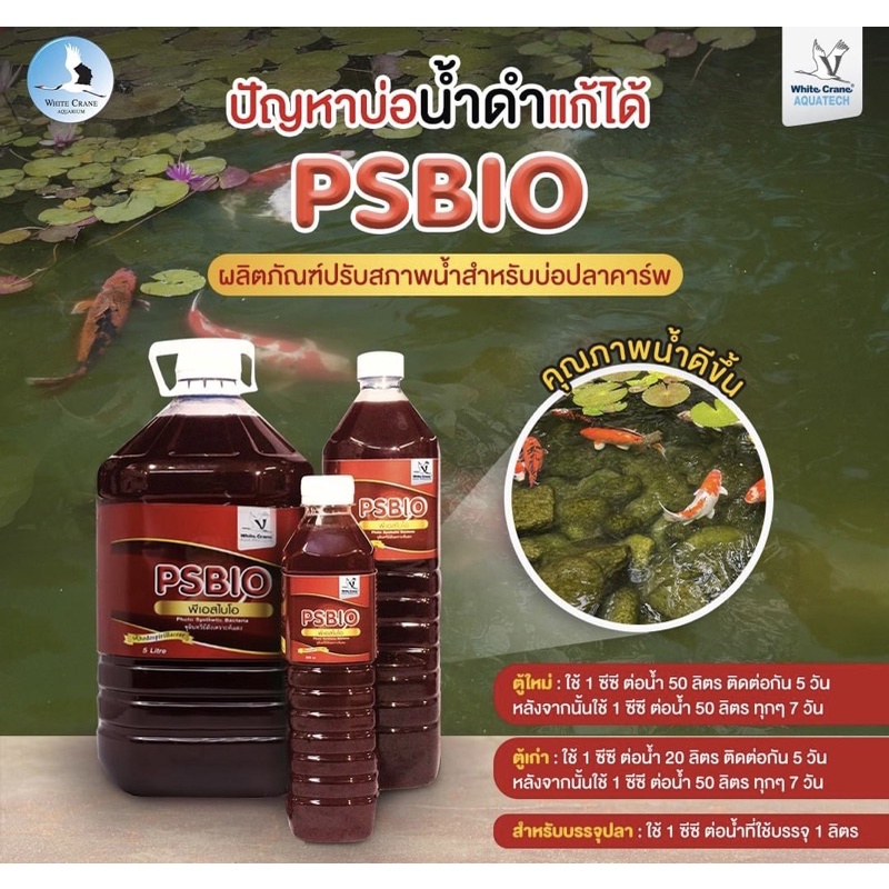 ps-bio-พีเอช-ไบโอ-ขนาด-5l-ผลิตภัณฑ์ปรับสภาพน้ำจุลินทรีย์สังเคราะห์แสงชนิดไม่ใช้ออกซิเจน