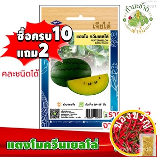 เมล็ดอวบอ้วน100%[10แถม2] เจียไต๋ เมล็ดพันธุ์ แตงโมควีนเยลโล่  Watermelon Queen yellow ประมาณ 10 เมล็ด ตราเจียไต๋ เมล็ดพั