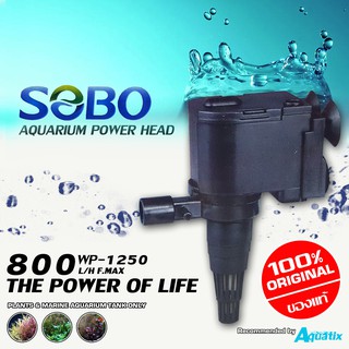 ปั้มน้ำตู้ปลา Power Head SEBO รุ่น WP-1250 (800L/H) (รับประกัน 6 เดือน)