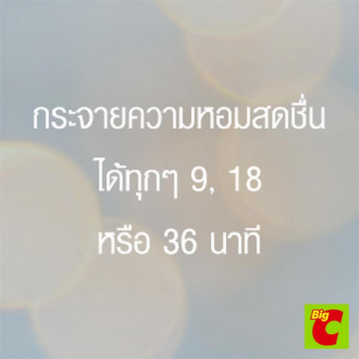 เกลด-ออโตเมติค-รีฟิล-สเปรย์ปรับอากาศ-กลิ่นโอเชี่ยน-เอสเคป-175-ก-glade-automatic-refill-air-freshener-spray-ocean-escape