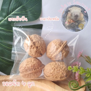 สินค้า วอลนัท [4 ลูก] walnuts เกรดคุณภาพ แทะลับฟัน ของแทะกระรอก สำหรับ สัตว์ฟันแทะ กระรอก  นก หนู