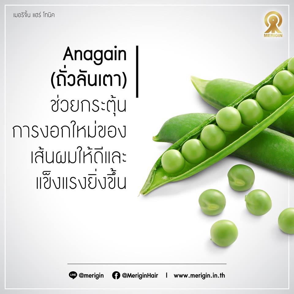 merigin-hair-tonic-ลดผมร่วง-บำรุงรากผม-บรรเทาปัญหาผมขาว-รักษาหนังศีรษะ-เพิ่มความชุ่มชื้นให้เส้นผม