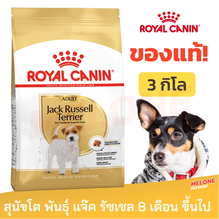 Royal Canin Jack Russell Terrier Adult vanaf €42,50 - De Welpenhoeve