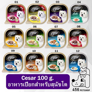 [24 ตลับ] Cesar 100 g. ซีซาร์ อาหารสุนัข แบบเปียก ขนาด 100 กรัม สำหรับสุนัขโต อายุ 1 ปีขึ้นไป