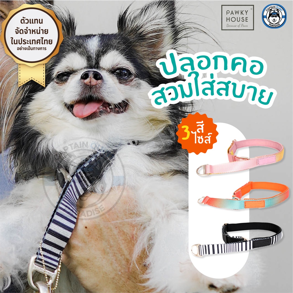 ปลอกคอสุนัข-comfort-collar-pawky-house-จากตัวแทนจำหน่ายอย่างเป็นทางการในประเทศไทย