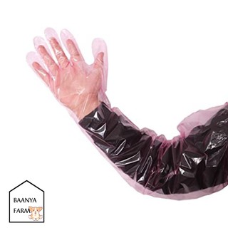 ภาพขนาดย่อของภาพหน้าปกสินค้าถุงมือ ยาวถึงหัวไหล่ 100 ชิ้น/กล่อง ถุงมือ PE Glove / ถุงมือผสมเทียม ถุงมือตรวจ จากร้าน baanyafarm99 บน Shopee
