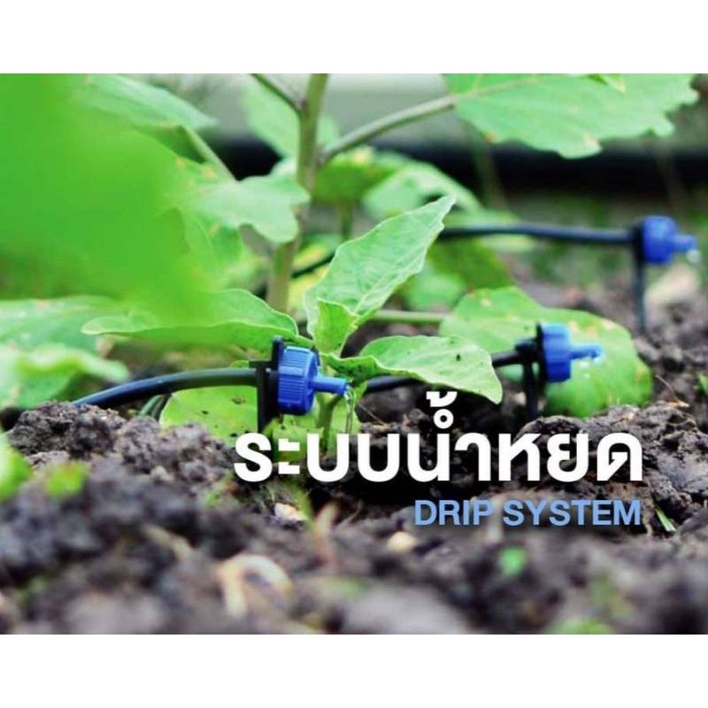 - หัวน้ำหยด รุ่น 4 ลิตร On-line dripper - | Shopee Thailand