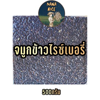 จมูกข้าวไรซ์เบอรี่ 500กรัม สุญญากาศ