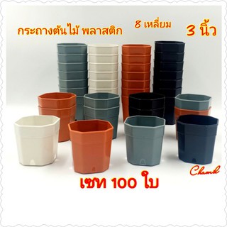 กระถางต้นไม้ 3 นิ้ว เซท 100 ใบ (8เหลี่ยม)กระถางต้นไม้พลาสติก กระถางแคนตัส สีขาว ส้ม เทา ดำ