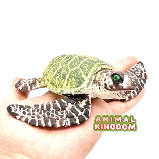 Animal Kingdom - โมเดลสัตว์ เต่าทะเล เขียวลาย ขนาด 12.00 CM (จากสงขลา)