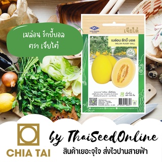 สินค้า CTF1 เมล็ดพันธุ์ เมล่อน รักบี้บอล ตราเจียไต๋ Melon Rugby Ball