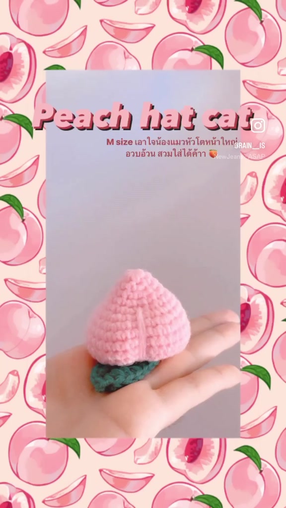 หมวกถักของแมว-hat-cat-crochet