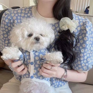 Ins ฤดูใบไม้ร่วงและฤดูหนาวใหม่เสื้อคาร์ดิแกนสุนัขเกาหลีสัตว์เลี้ยงเกาหลีตุ๊กตาหมี Bomei เสื้อผ้าสุนัขขนาดเล็ก
