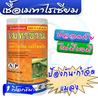 🔥ลด50% ใส่โค้ด INC3LE7Z🔥 เมทาไรเซียม 1กิโลกรัม ชีวภัณฑ์ กำจัดแมลง ออร์แกนิค เมทาซาน เมตาไรเซียม อะนิโซเพล