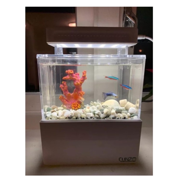 ตู้ปลานาโน-ตู้ปลาสำเร็จรูป-nano-fish-tank-ตู้ปลาจิ๋ว