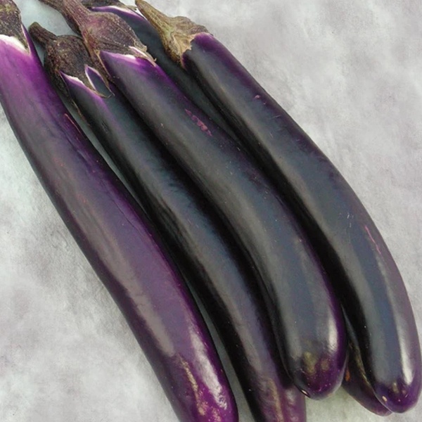 เมล็ดพันธุ์แท้100-มะเขือยาวม่วง-long-purple-eggplant-seeds-vegetable-plants-see-นี่มันเมล็ดพืช-ไม่ใช่พืช