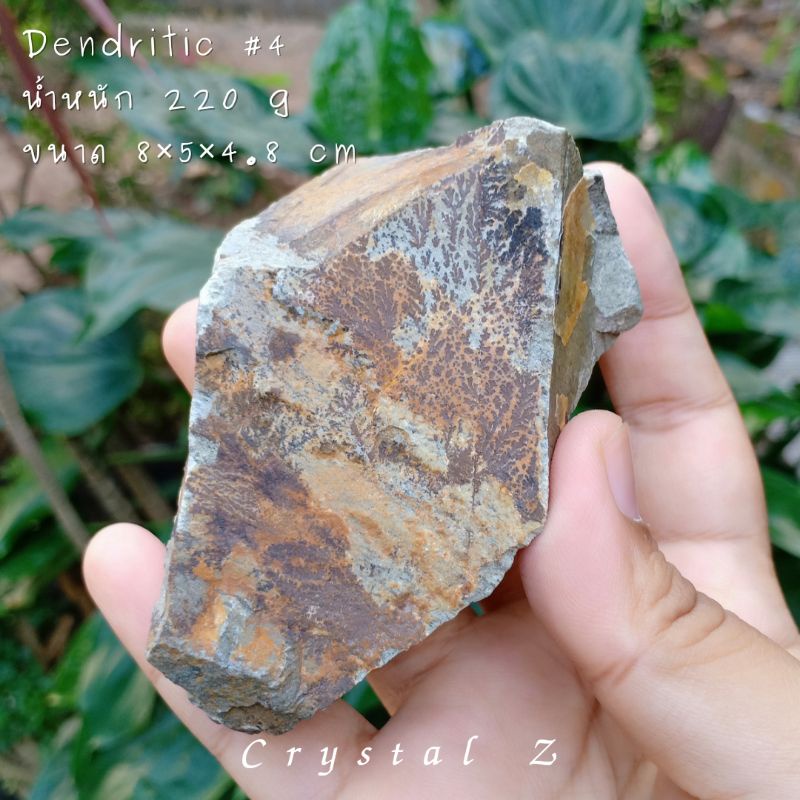 dendritic-เดนไดรติก-4-manganesedendrites-คล้ายรูปวาดกิ่งก้านต้นไม้