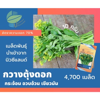 กวางตุ้งดอก เขียวอำพัน (Flowering Pak Choy)