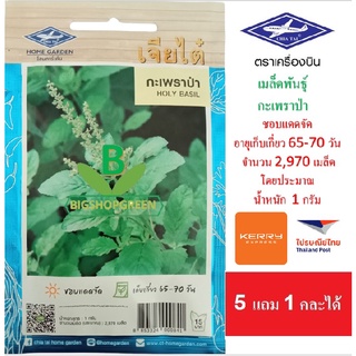 5 ฟรี 1 คละได้ เมล็ดพันธุ์ กะเพราป่า  ตรา เจียไต๋ เมล็ดพันธุ์ผัก เมล็ดผัก เมล็ดพันธุ์พืช  เมล็ดพืช เมล็ดพันธุ์