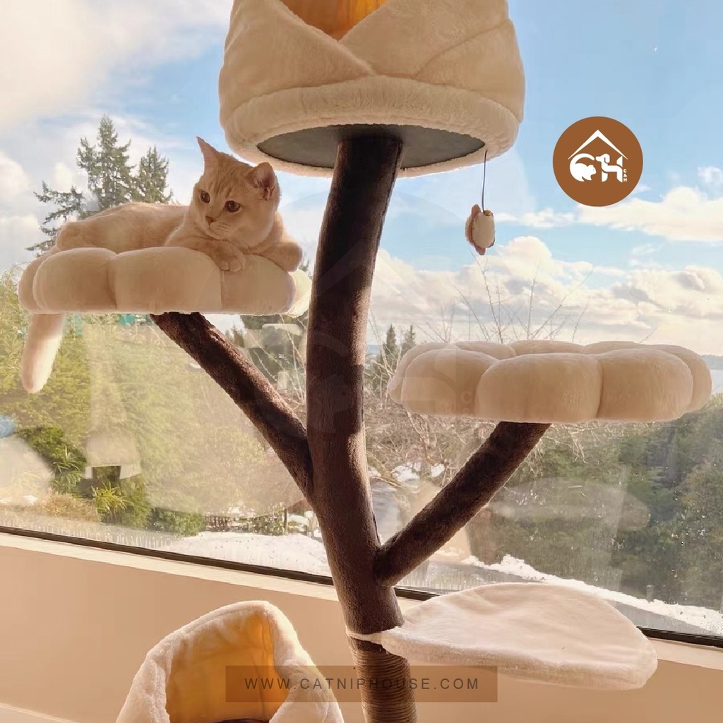 catry-luxury-flower-cat-house-คอนโดแมวบ้านทรงดอกไม้ใหญ่-cat-condo-คอนโดแมว