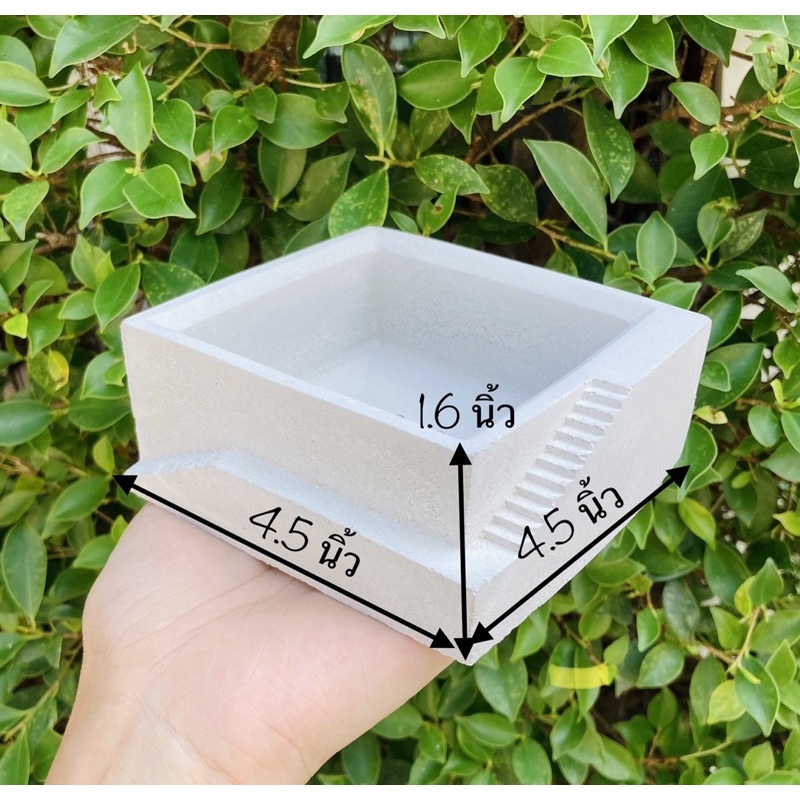 4-นิ้ว-มีร้านเดียว-กระถางปูน-กระถางบันได-กระถางปูนเปลือย-กระถางมินิมอล-กระถาง-สวนถาด-กระถางปูน-กระถาง4นิ้ว-กระถางมินิมอล