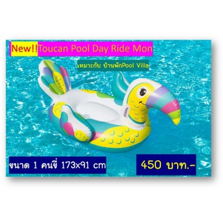 สินค้าใหม่ พร้อมส่ง Toucan Pool Day Ride mon แพนกทูแคน ขนาด 1 คนขี่ขนาด 68"x36"