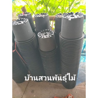 กระถางเพาะชำ ขนาด 8 นิ้ว จัดชุด 10 ใบ