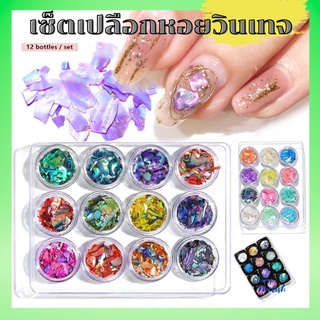 เซ็ตเปลือกหอย วินเทจ แต่งเล็บ แบบต่างๆ เซ็ต12สี อุปกรณทำเล็บ