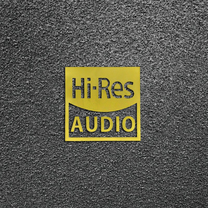 [Super Exquisite Metal Sticker] SONY Hi-res AUDIO Gold Standard High ...