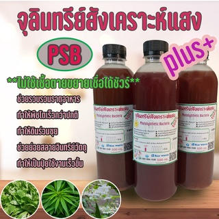 (ขายส่ง) จุลินทรีย์สังเคราะห์แสง👍เข้มข้น‼️ หัวเชื้อ (พร้อมวิธีขยายเชื้อ)