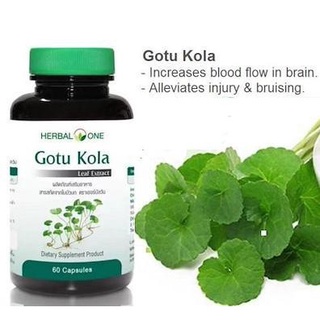 Gotu Kola Herbal One ใบบัวบกสกัด 60แคปซูล