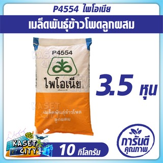 ข้าวโพดเลี้ยงสัตว์  ไพโอเนีย P4554 (3.5หุน) น้ำหนัก 10 กก. ข้าวโพด เมล็ดพันธุ์  เมล็ดผัก