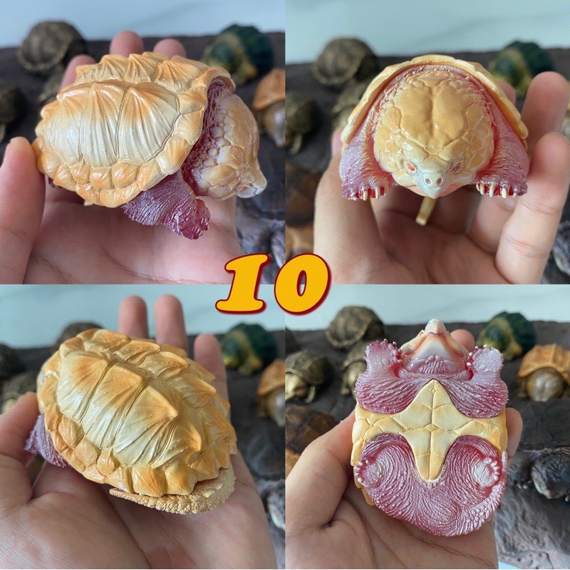 bighead series snipping turtle figurines โมเดลเต่าตัวเล็ก | Shopee Thailand