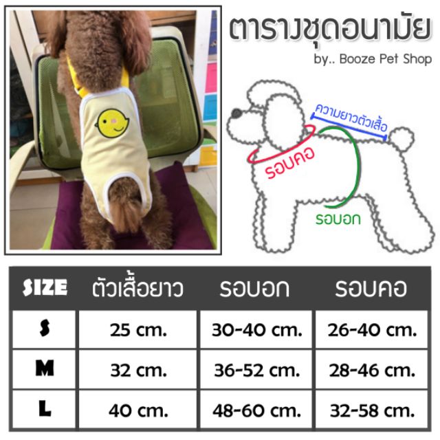 ภาพสินค้าร้านไทย ️ ชุดอนามัยสุนัข ชุดเอี๊ยมใส่เวลาเป็นฮีท หรือกันการผสมพันธุ์ กางเกงสุนัข จากร้าน boozepetshop บน Shopee ภาพที่ 4