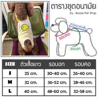 ภาพขนาดย่อของภาพหน้าปกสินค้าร้านไทย ️ ชุดอนามัยสุนัข ชุดเอี๊ยมใส่เวลาเป็นฮีท หรือกันการผสมพันธุ์ กางเกงสุนัข จากร้าน boozepetshop บน Shopee ภาพที่ 4