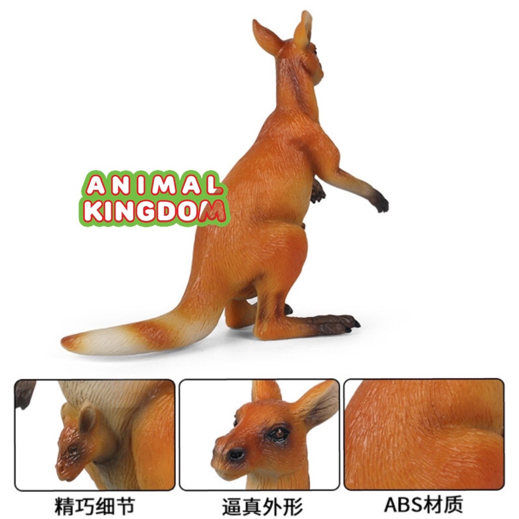 animal-kingdom-โมเดลสัตว์-จิงโจ้-ขนาด-14-00-cm-จากหาดใหญ่