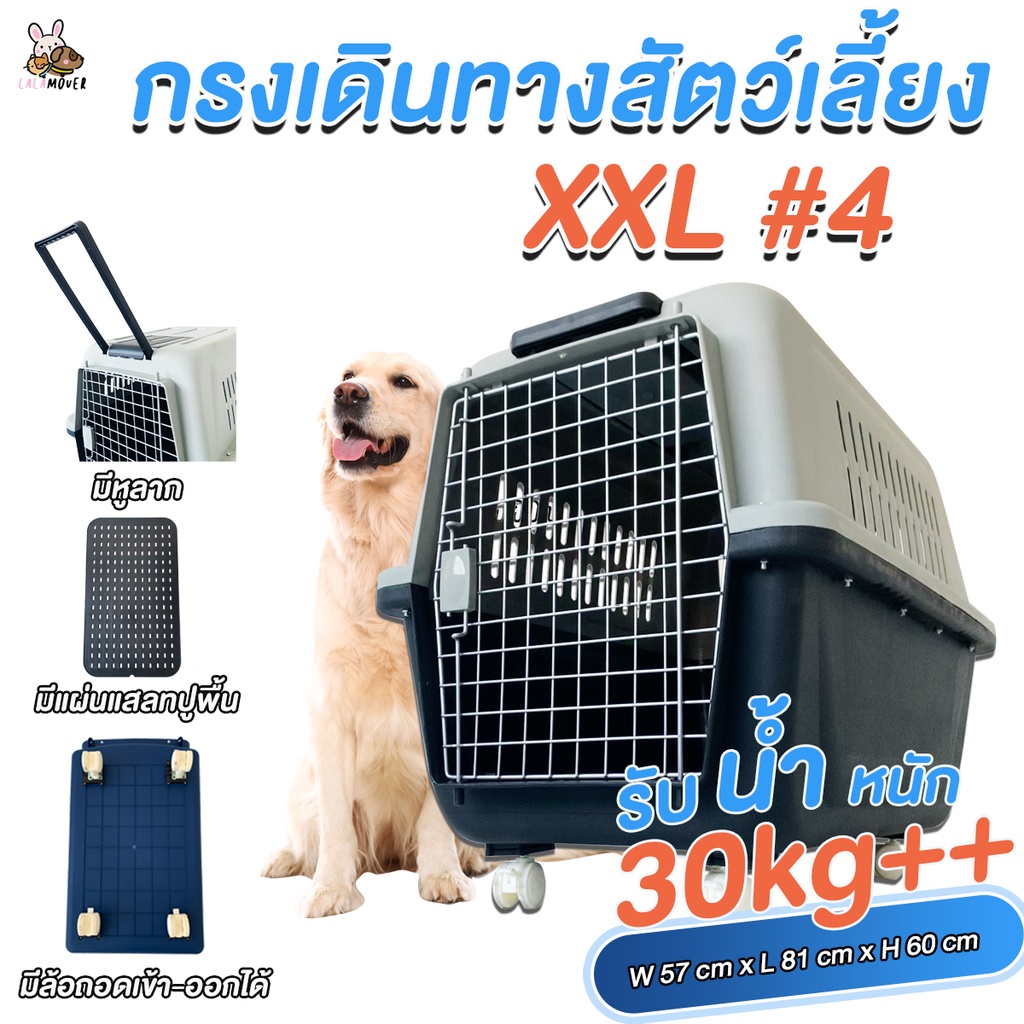 สั่งซื้อ กรงเดินทางสุนัข ขนาดใหญ่ ในราคาสุดคุ้ม | Shopee Thailand