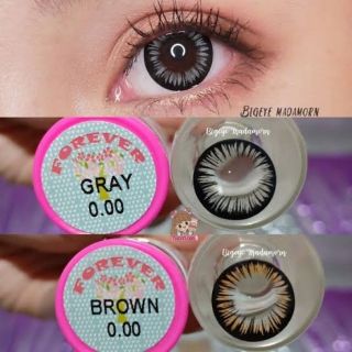 💖 Kitty Kawaii Forever brown gray blue Contactlens บิ๊กอาย คอนแทคเลนส์ ราคาถูก แถมตลับฟรี