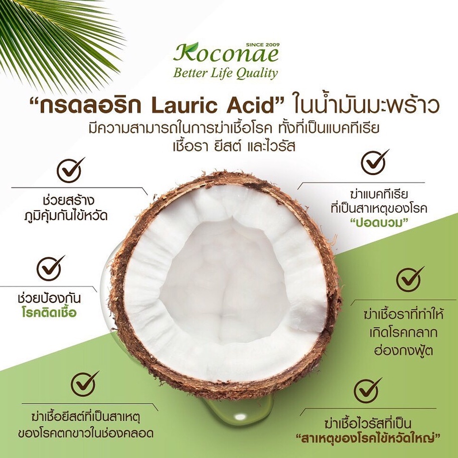 ภาพสินค้าน้ำมันมะพร้าวสกัดเย็น Koconae โคโคเน่น้ำมันมะพร้าวธรรมชาติ 1000 ml จากร้าน koconae บน Shopee ภาพที่ 7