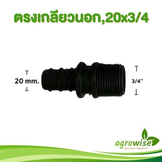 ภาพหน้าปกสินค้าท่อ pe ต่อตรงเกลียวนอก ข้อต่อตรง เกลียวนอก ขนาด 20mm เป็น 3/4 นิ้ว 20 มิล เป็น 6 หุน ที่เกี่ยวข้อง