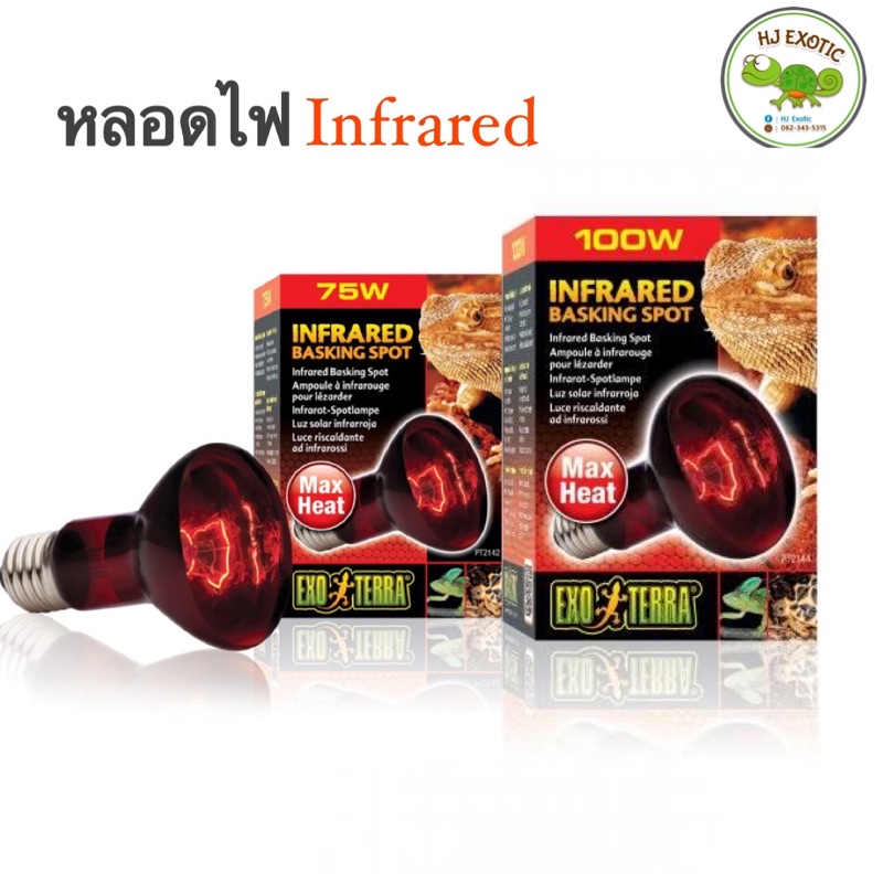 ภาพหน้าปกสินค้าExo Terra Infrared Basking Spot หลอดความร้อนอินฟราเรด สำหรับกกไฟกลางคืน