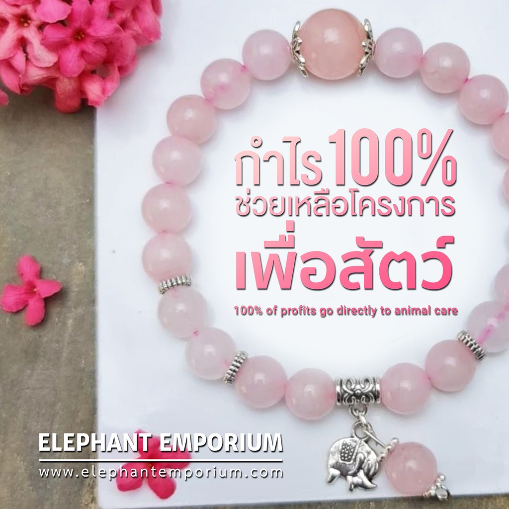 ราคาและรีวิวกำไลหินมงคลแท้ กำไร 100% เพื่อช่วยเหลือสัตว์