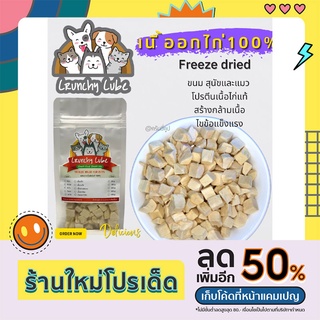 CrunchyCube อกไก่ ฟรีซดราย ขนมสุนัขและแมว