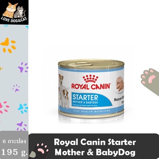 ภาพหน้าปกสินค้า(6 กระป๋อง) Royal Canin STARTER MOUSSE ชนิดเปียก สำหรับแม่และลูกสุนัข (195 g.) ที่เกี่ยวข้อง